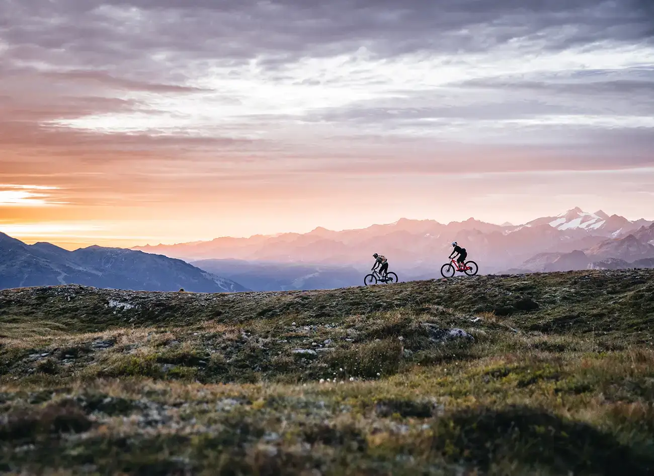 Webdesign Referenz Bike Sport München Schwabing Specialized